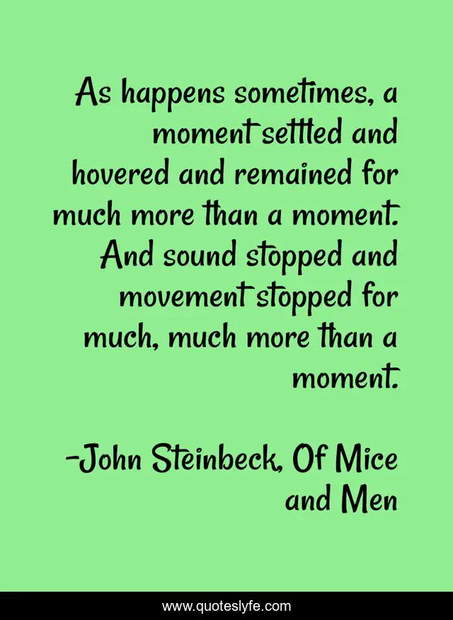 As happens sometimes, a moment settled and hovered and remained for much more than a moment. And sound stopped and movement stopped for much, much more than a moment.