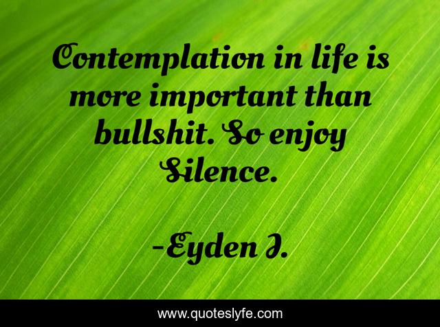 Contemplation in life is more important than bullshit. So enjoy Silence.