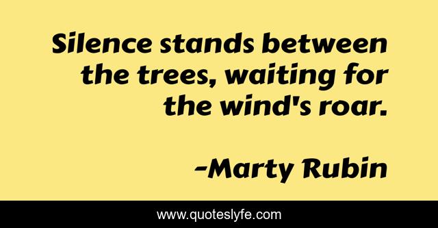 Silence stands between the trees, waiting for the wind's roar.