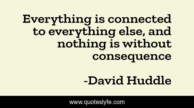 Everything is connected to everything else, and nothing is without consequence