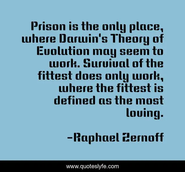 Prison is the only place, where Darwin's Theory of Evolution may seem to work. Survival of the fittest does only work, where the fittest is defined as the most loving.