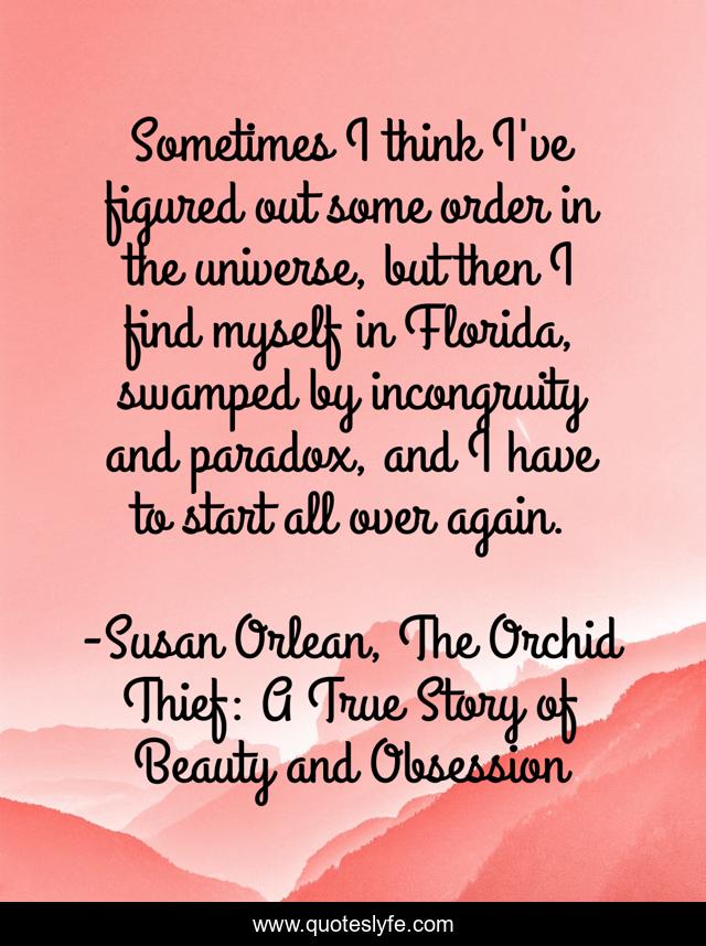 Sometimes I think I've figured out some order in the universe, but then I find myself in Florida, swamped by incongruity and paradox, and I have to start all over again.