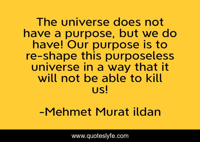 The universe does not have a purpose, but we do have! Our purpose is to re-shape this purposeless universe in a way that it will not be able to kill us!