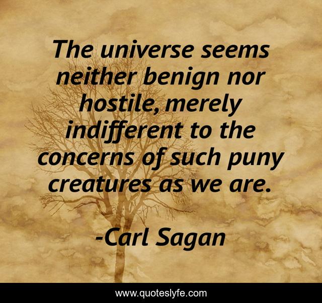 The universe seems neither benign nor hostile, merely indifferent to the concerns of such puny creatures as we are.