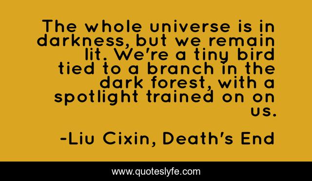 The whole universe is in darkness, but we remain lit. We're a tiny bird tied to a branch in the dark forest, with a spotlight trained on on us.