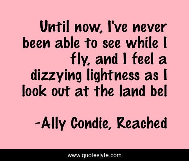 Until now, I've never been able to see while I fly, and I feel a dizzying lightness as I look out at the land bel
