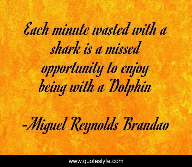 Each minute wasted with a shark is a missed opportunity to enjoy being with a Dolphin