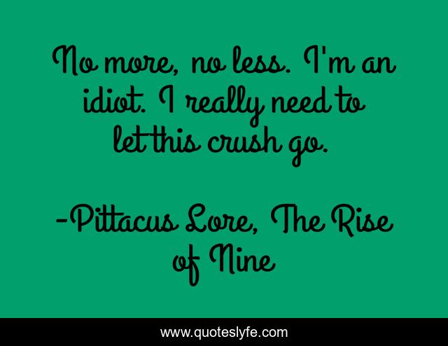 No more, no less. I'm an idiot. I really need to let this crush go.