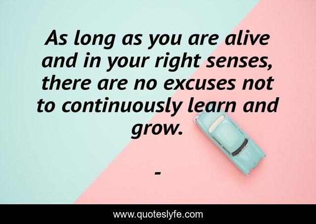 As long as you are alive and in your right senses, there are no excuses not to continuously learn and grow.