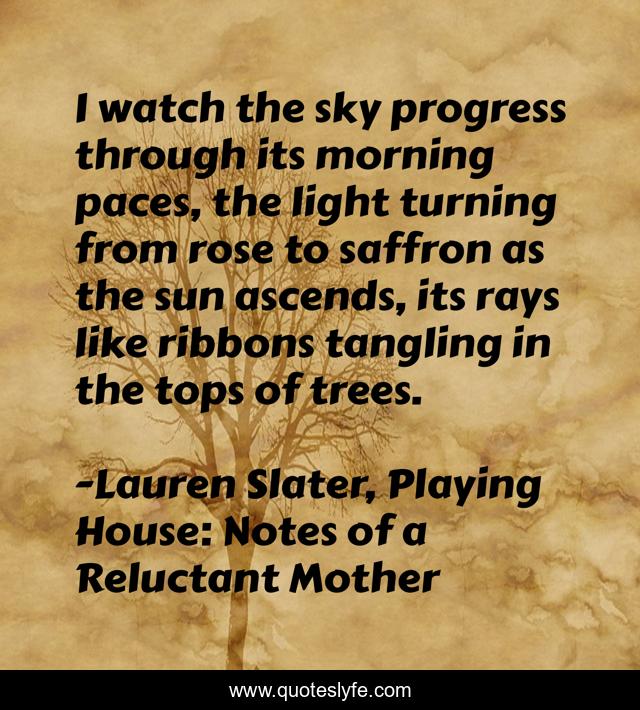 I watch the sky progress through its morning paces, the light turning from rose to saffron as the sun ascends, its rays like ribbons tangling in the tops of trees.