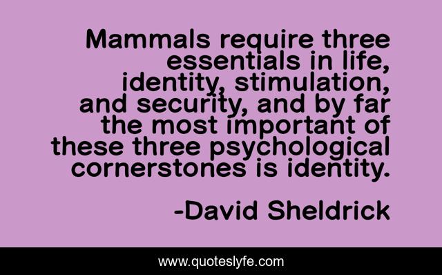 Mammals require three essentials in life, identity, stimulation, and security, and by far the most important of these three psychological cornerstones is identity.