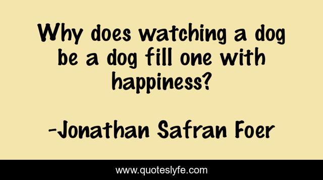 Why does watching a dog be a dog fill one with happiness?