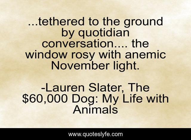 ...tethered to the ground by quotidian conversation.... the window rosy with anemic November light.