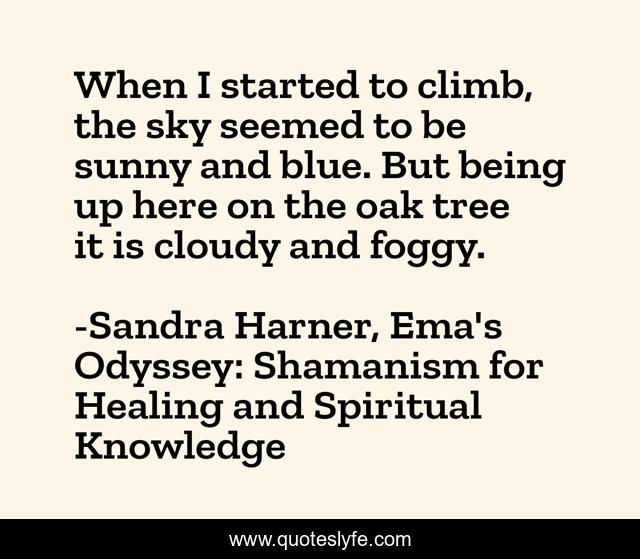 When I started to climb, the sky seemed to be sunny and blue. But being up here on the oak tree it is cloudy and foggy.