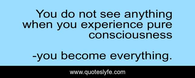You do not see anything when you experience pure consciousness