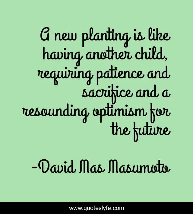 A new planting is like having another child, requiring patience and sacrifice and a resounding optimism for the future