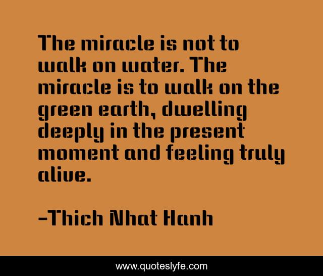 The miracle is not to walk on water. The miracle is to walk on the green earth, dwelling deeply in the present moment and feeling truly alive.