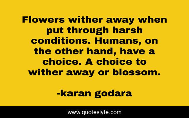 Flowers wither away when put through harsh conditions. Humans, on the other hand, have a choice. A choice to wither away or blossom.