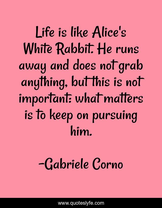 Life is like Alice's White Rabbit. He runs away and does not grab anything, but this is not important: what matters is to keep on pursuing him.