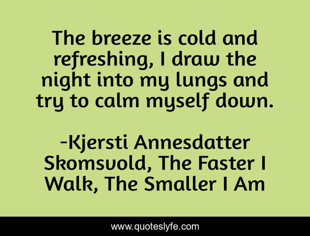 The breeze is cold and refreshing, I draw the night into my lungs and try to calm myself down.
