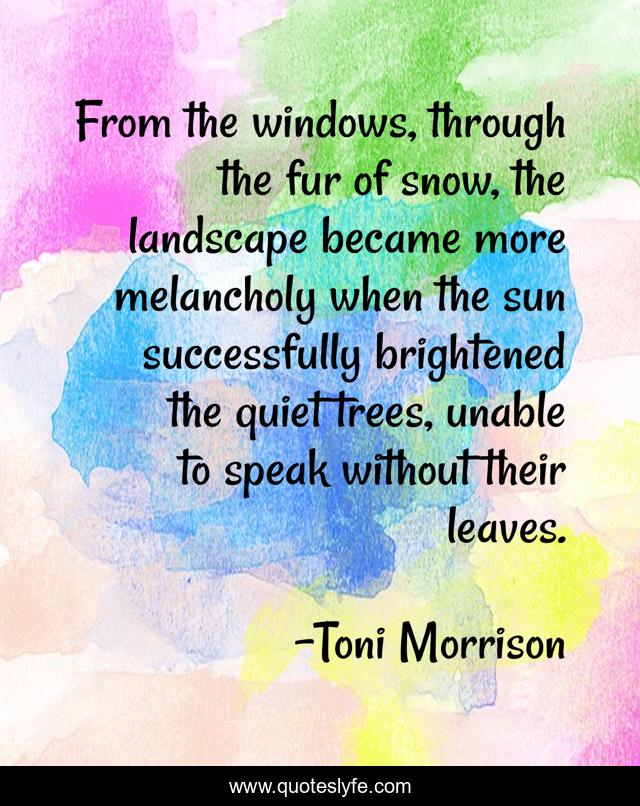 From the windows, through the fur of snow, the landscape became more melancholy when the sun successfully brightened the quiet trees, unable to speak without their leaves.