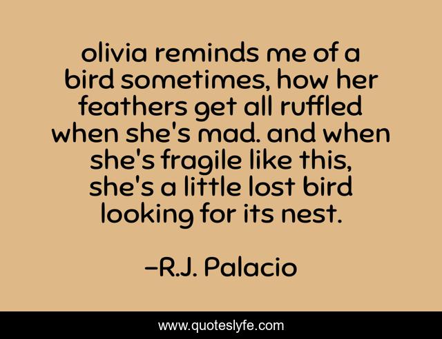 olivia reminds me of a bird sometimes, how her feathers get all ruffled when she's mad. and when she's fragile like this, she's a little lost bird looking for its nest.