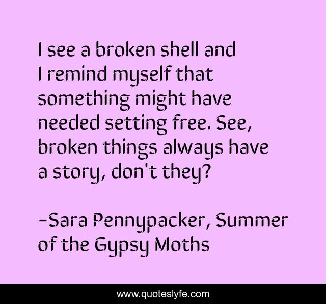 I see a broken shell and I remind myself that something might have needed setting free. See, broken things always have a story, don't they?