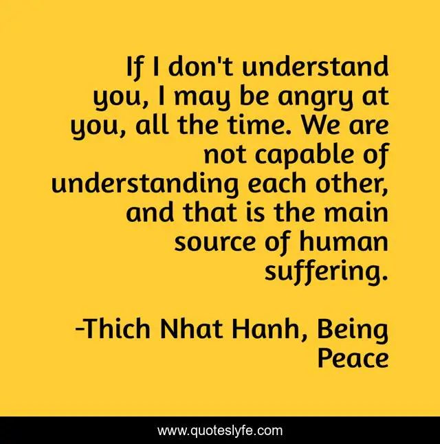 If I don't understand you, I may be angry at you, all the time. We are not capable of understanding each other, and that is the main source of human suffering.
