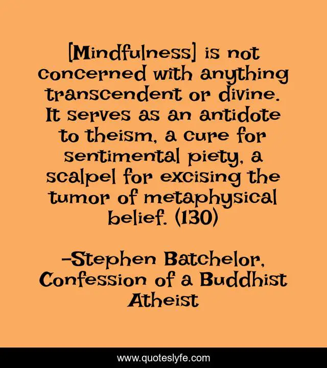 [Mindfulness] is not concerned with anything transcendent or divine. It serves as an antidote to theism, a cure for sentimental piety, a scalpel for excising the tumor of metaphysical belief. (130)