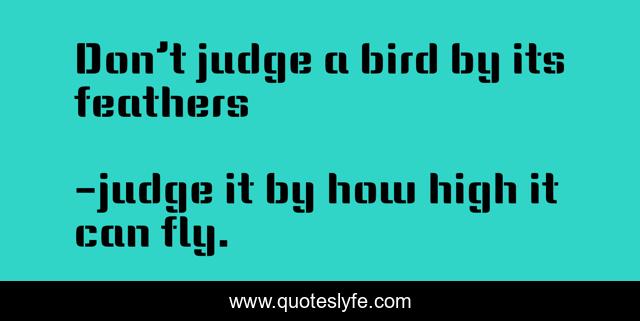 Don’t judge a bird by its feathers
