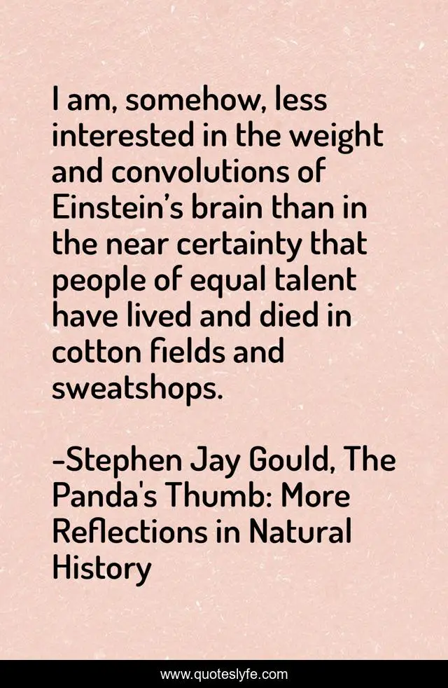 I am, somehow, less interested in the weight and convolutions of Einstein’s brain than in the near certainty that people of equal talent have lived and died in cotton fields and sweatshops.