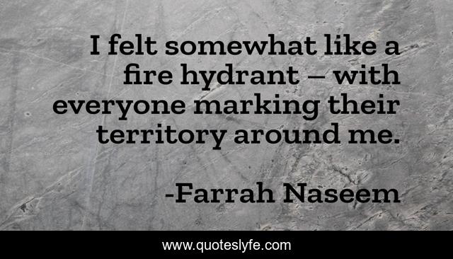 I felt somewhat like a fire hydrant – with everyone marking their territory around me.