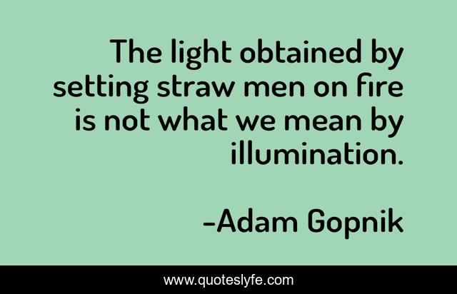 The light obtained by setting straw men on fire is not what we mean by illumination.