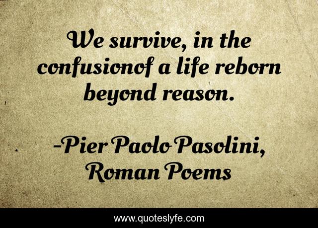 We survive, in the confusionof a life reborn beyond reason.