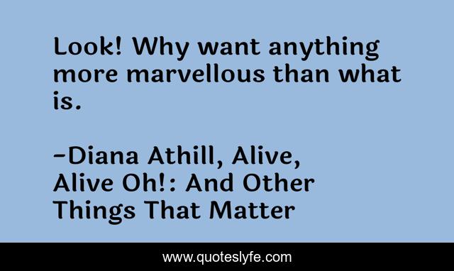 Look! Why want anything more marvellous than what is.