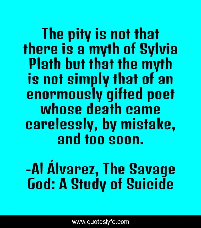 The pity is not that there is a myth of Sylvia Plath but that the myth is not simply that of an enormously gifted poet whose death came carelessly, by mistake, and too soon.