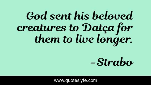 God sent his beloved creatures to Datça for them to live longer.