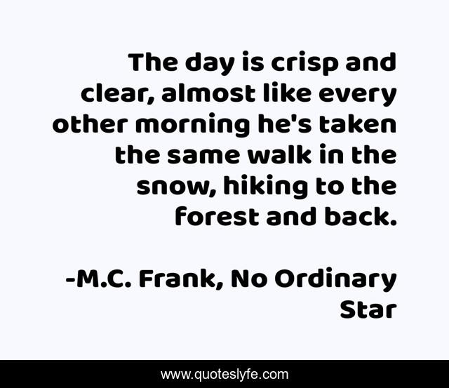 The day is crisp and clear, almost like every other morning he's taken the same walk in the snow, hiking to the forest and back.