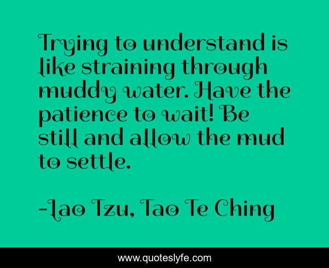 Trying to understand is like straining through muddy water. Have the patience to wait! Be still and allow the mud to settle.
