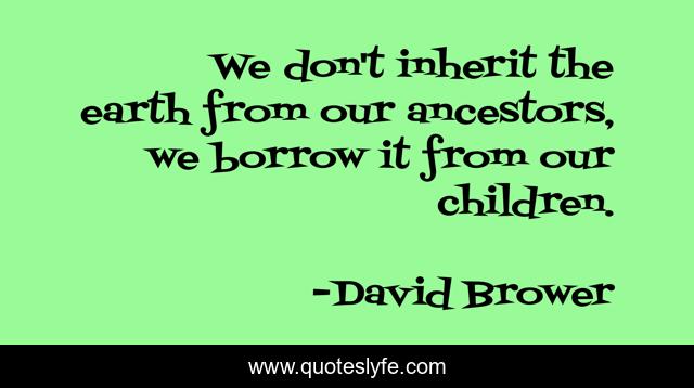 We don't inherit the earth from our ancestors, we borrow it from our children.