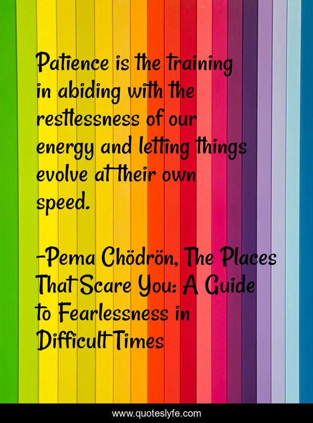 Patience is the training in abiding with the restlessness of our energy and letting things evolve at their own speed.