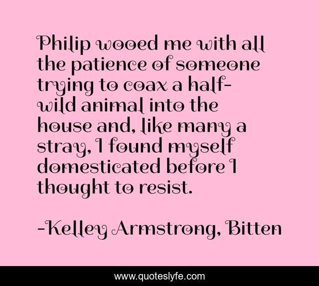 Philip wooed me with all the patience of someone trying to coax a half-wild animal into the house and, like many a stray, I found myself domesticated before I thought to resist.