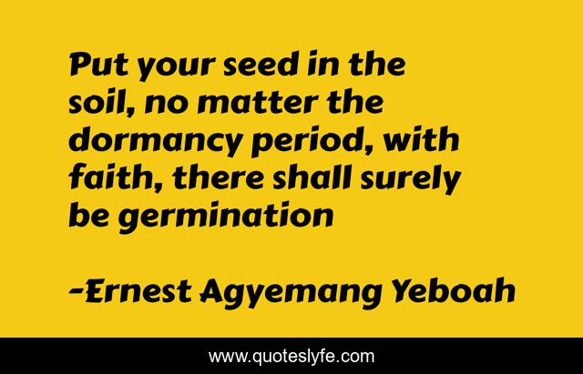Put your seed in the soil, no matter the dormancy period, with faith, there shall surely be germination
