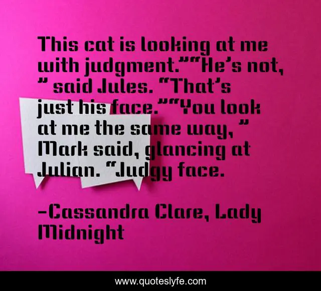 This cat is looking at me with judgment.”“He’s not, ” said Jules. “That’s just his face.”“You look at me the same way, ” Mark said, glancing at Julian. “Judgy face.