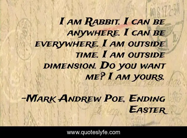 I am Rabbit. I can be anywhere. I can be everywhere. I am outside time. I am outside dimension. Do you want me? I am yours.