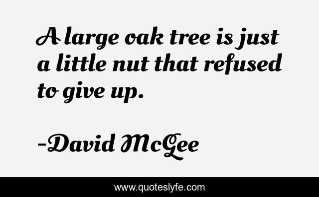 A large oak tree is just a little nut that refused to give up.