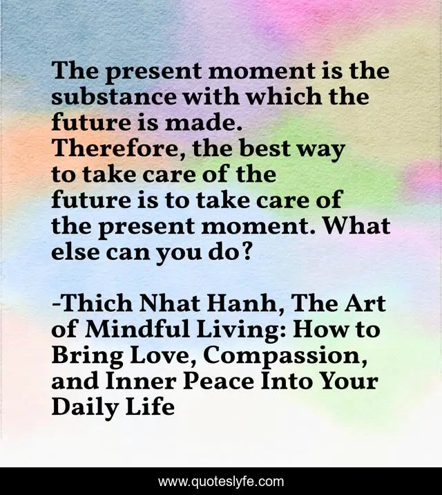 The present moment is the substance with which the future is made. Therefore, the best way to take care of the future is to take care of the present moment. What else can you do?