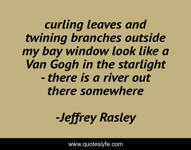 curling leaves and twining branches outside my bay window look like a Van Gogh in the starlight - there is a river out there somewhere