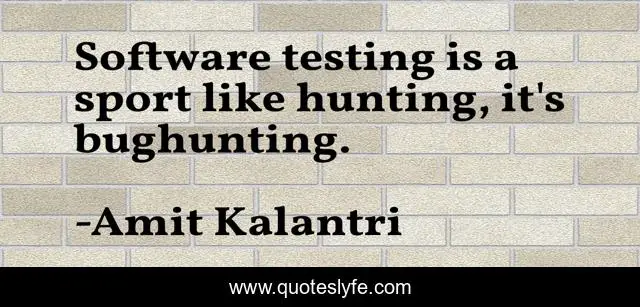 Software testing is a sport like hunting, it's bughunting.