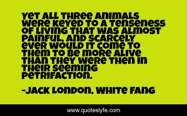 Yet all three animals were keyed to a tenseness of living that was almost painful, and scarcely ever would it come to them to be more alive than they were then in their seeming petrifaction.